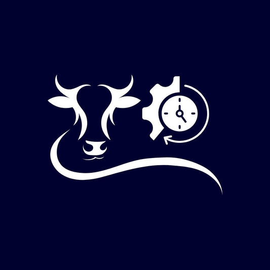 Assetmanagement totaaloplossing