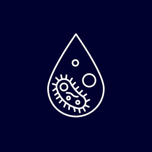Chlorella kweker