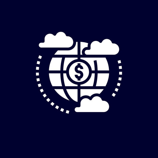 SaaS Fintech onderneming